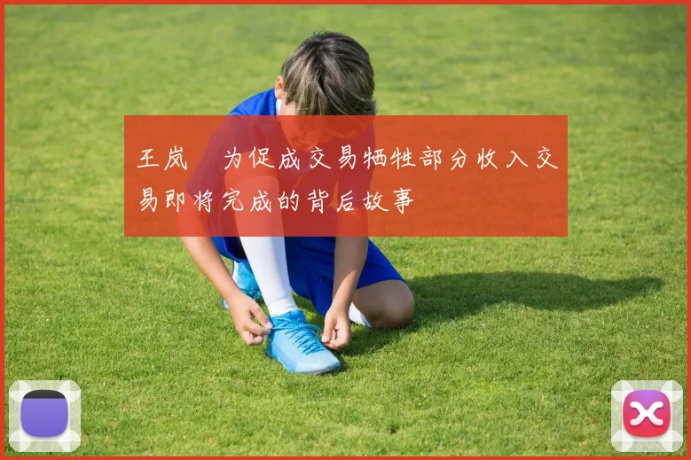 王岚嵚为促成交易牺牲部分收入交易即将完成的背后故事